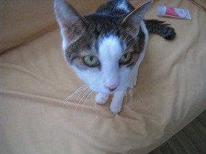 IMG_1246.jpg