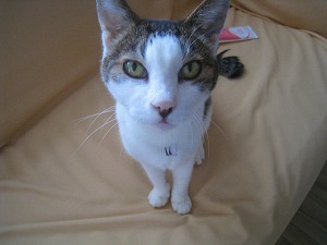 IMG_1249.jpg