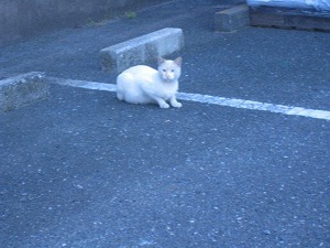 IMG_1422.jpg