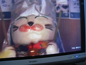 IMG_1518.jpg
