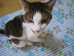 IMG_1543.jpg