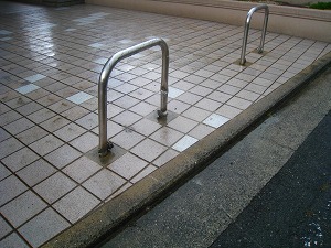 IMG_1584.jpg