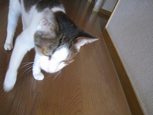 IMG_1637.jpg