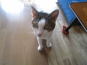 IMG_1796.jpg