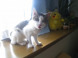 IMG_1861.jpg