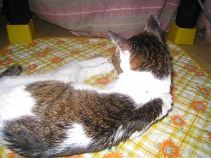 IMG_1922.jpg