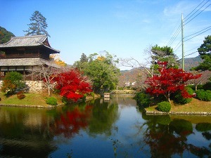 IMG_1987.jpg