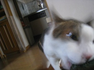 IMG_2082.jpg