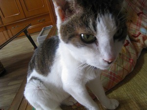 IMG_2140.jpg
