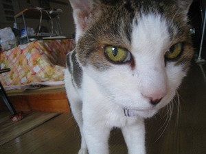 IMG_2147.jpg