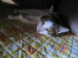 IMG_2154.jpg