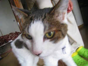 IMG_2166.jpg