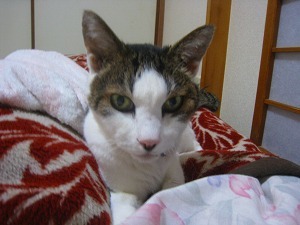 IMG_2217.jpg