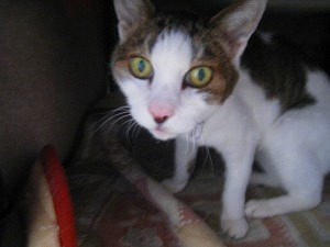 IMG_2290.jpg