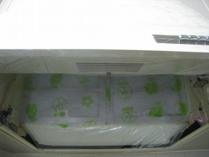 IMG_2295.jpg