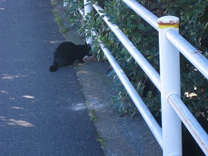 IMG_2333.jpg