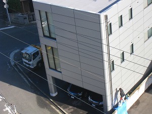 IMG_2337.jpg