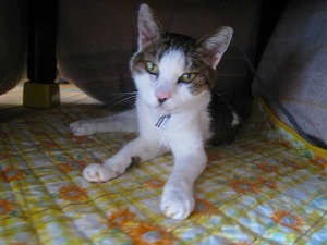 IMG_2418.jpg