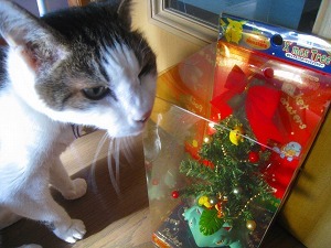 IMG_2436.jpg