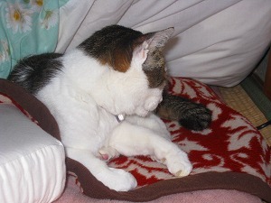 IMG_2439.jpg