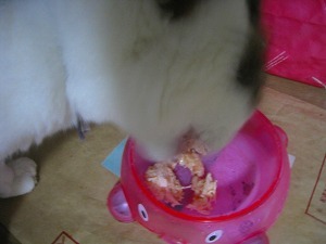 IMG_2449.jpg