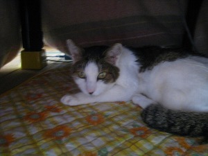 IMG_2455.jpg