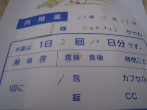 IMG_2467.jpg