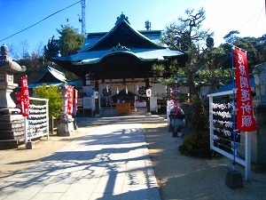 IMG_2629.jpg