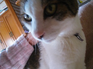 IMG_2660.jpg