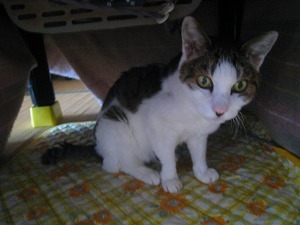 IMG_2707.jpg