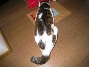 IMG_2744.jpg