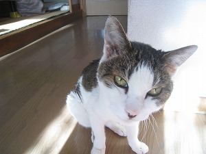 IMG_2766.jpg