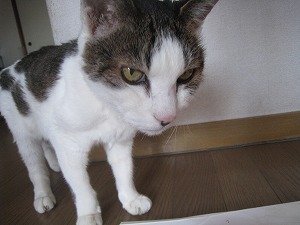 IMG_3124.jpg
