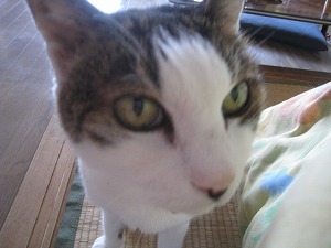 IMG_3169.jpg