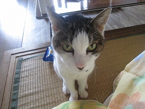 IMG_3253.jpg