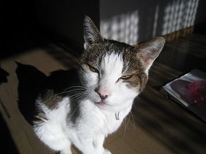 IMG_3330.jpg