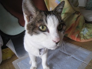 IMG_3455.jpg