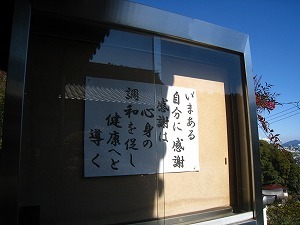 IMG_3529.jpg