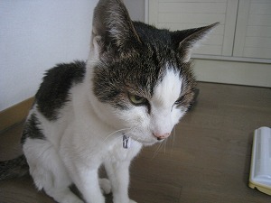 IMG_3539.jpg