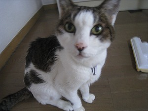 IMG_3541.jpg