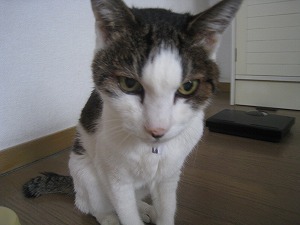 IMG_3547.jpg