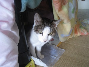 IMG_3571.jpg