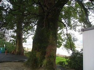 IMG_3739.jpg