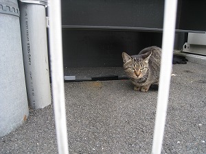 IMG_3869.jpg