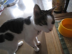 IMG_3887.jpg