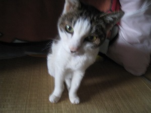 IMG_3891.jpg