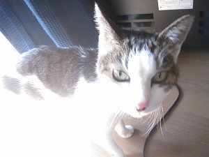 IMG_3956.jpg