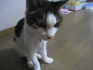 IMG_3967.jpg