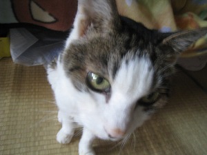 IMG_3976.jpg
