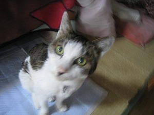 IMG_4018.jpg